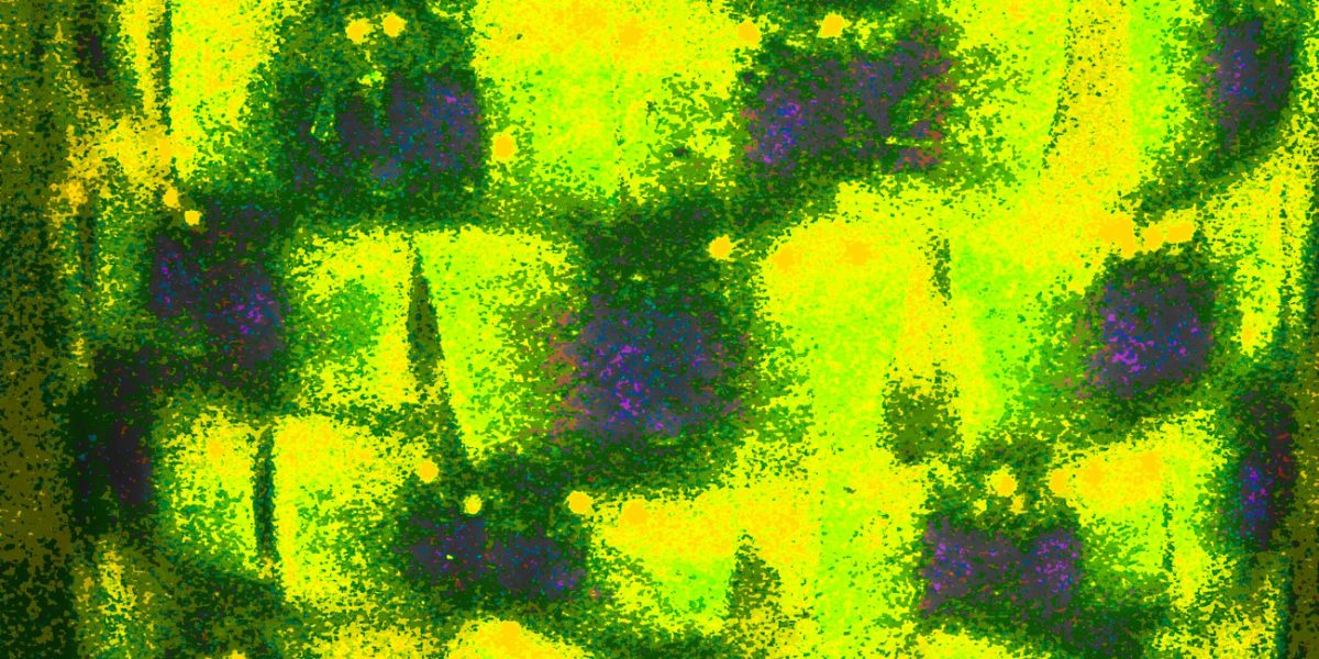 06.02.2020 Manufakturen-Blog-PopArt-Projekt: Rollmops abstrakt, neongrün - basierend auf einem Foto in der Produktion von Wismar-Fisch in Wismar (Foto: Wigmar Bressel)