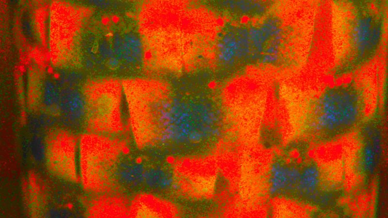 06.02.2020 Manufakturen-Blog-PopArt-Projekt: Rollmops abstrakt, rot - basierend auf einem Foto in der Produktion von Wismar-Fisch in Wismar (Foto: Wigmar Bressel)