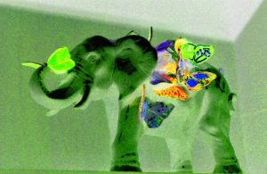 12.12.2022 Manufakturen-Blog-PopArt-Projekt: Green Elephant - basierend auf einem Foto aus der Porzellanmanufaktur Reichenbach (Foto: Wigmar Bressel)