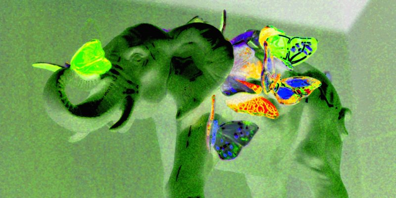 12.12.2022 Manufakturen-Blog-PopArt-Projekt: Green Elephant - basierend auf einem Foto aus der Porzellanmanufaktur Reichenbach (Foto: Wigmar Bressel)