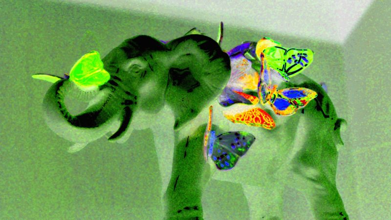 12.12.2022 Manufakturen-Blog-PopArt-Projekt: Green Elephant - basierend auf einem Foto aus der Porzellanmanufaktur Reichenbach (Foto: Wigmar Bressel)