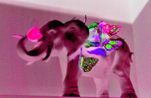 2019-09-09 Manufakturen-Blog-PopArt-Projekt: Pink Elephant - basierend auf einem Foto aus der Porzellanmanufaktur Reichenbach (Foto: Wigmar Bressel)