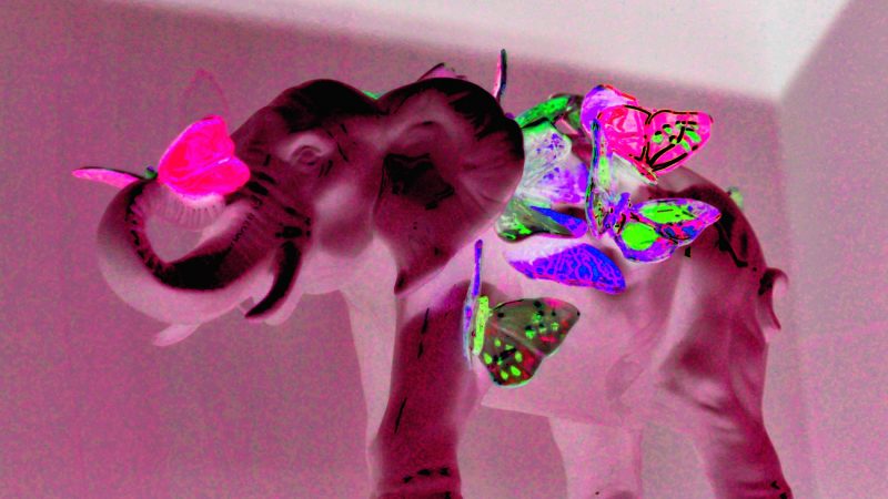 09.09.2019 Manufakturen-Blog-PopArt-Projekt: Pink Elephant - basierend auf einem Foto aus der Porzellanmanufaktur Reichenbach (Foto: Wigmar Bressel)