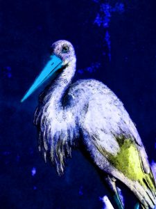 27.11.2022 Manufakturen-Blog-PopArt-Projekt: Der Storch, nachtblau - basierend auf einem Foto aus dem sog. Voltaire-Zimmer in Schloss Sanssouci (Foto: Wigmar Bressel)