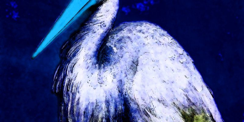 27.11.2022 Manufakturen-Blog-PopArt-Projekt: Der Storch, nachtblau - basierend auf einem Foto einer Stuck-Arbeit im sog. Voltaire-Zimmer in Schloss Sanssouci (Foto: Wigmar Bressel)