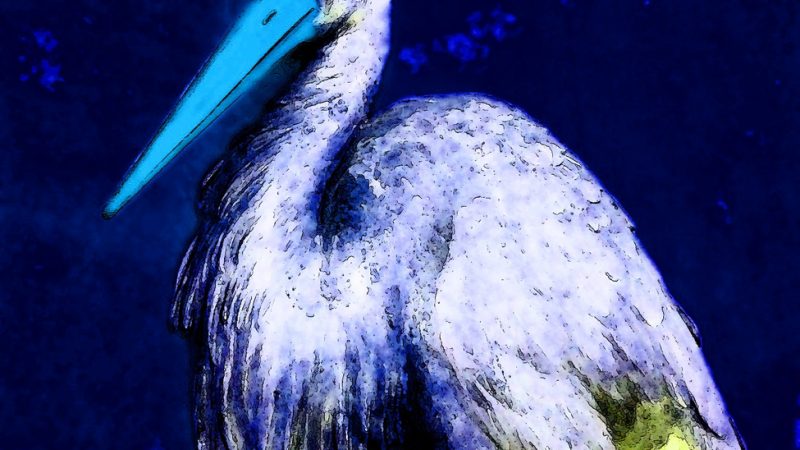 27.11.2022 Manufakturen-Blog-PopArt-Projekt: Der Storch, nachtblau - basierend auf einem Foto aus dem sog. Voltaire-Zimmer in Schloss Sanssouci (Foto: Wigmar Bressel)