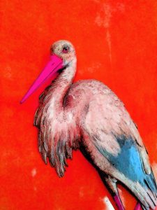 07.11.2021 Manufakturen-Blog-PopArt-Projekt: Der Storch, zinoberrot - basierend auf einem Foto aus dem sog. Voltaire-Zimmer in Schloss Sanssouci (Foto: Wigmar Bressel)