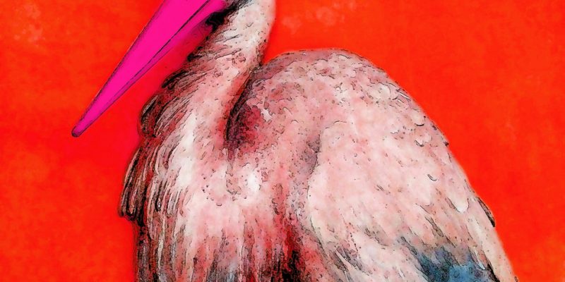 07.11.2021 Manufakturen-Blog-PopArt-Projekt: Der Storch, zinoberrot - basierend auf einem Foto einer Stuck-Arbeit im sog. Voltaire-Zimmer in Schloss Sanssouci (Foto: Wigmar Bressel)