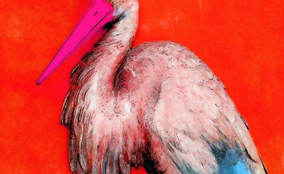 07.11.2021 Manufakturen-Blog-PopArt-Projekt: Der Storch, zinoberrot - basierend auf einem Foto einer Stuck-Arbeit im sog. Voltaire-Zimmer in Schloss Sanssouci (Foto: Wigmar Bressel)