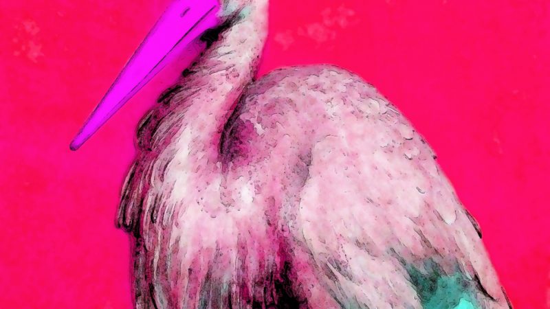 18.09.2019 Manufakturen-Blog-PopArt-Projekt: Roter Storch - basierend auf einem Foto aus dem sog. Voltaire-Zimmer in Schloss Sanssouci (Foto: Wigmar Bressel)