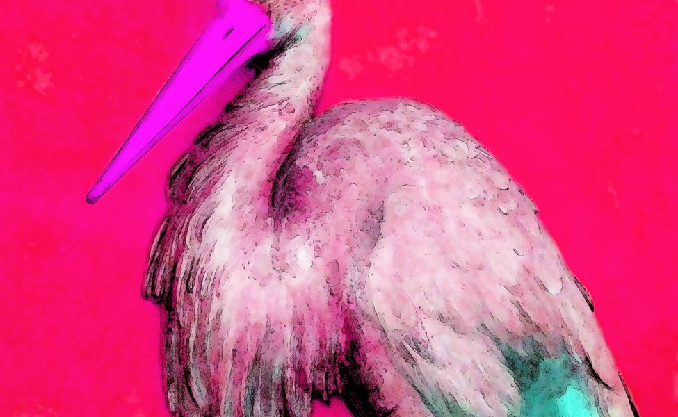 18.09.2019 Manufakturen-Blog-PopArt-Projekt: Roter Storch - basierend auf einem Foto einer dreidimensionalen Stuck-Arbeit im sog. Voltaire-Zimmer in Schloss Sanssouci (Foto: Wigmar Bressel)