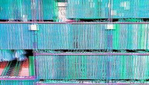 Manufakturen-Blog-PopArt-Projekt: Archiv I, türkis (Foto: Wigmar Bressel)