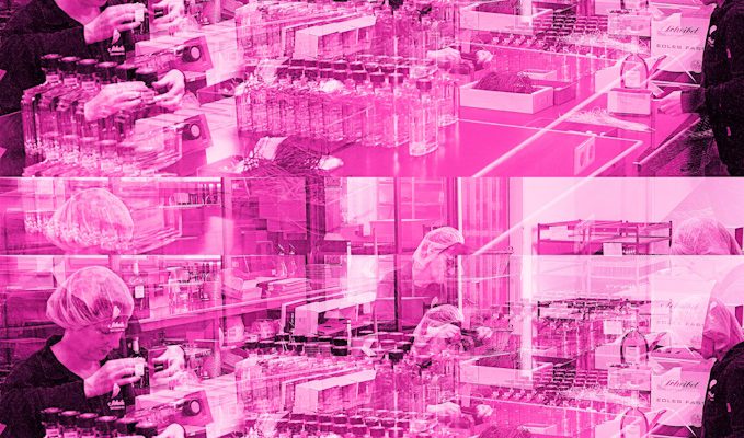 Manufakturen-Blog-PopArt-Projekt: Mitarbeiter V, saphirrosa (Foto: Wigmar Bressel) Emil Scheibel Schwarzwald-Brennerei Kappelrodeck Etikettieren