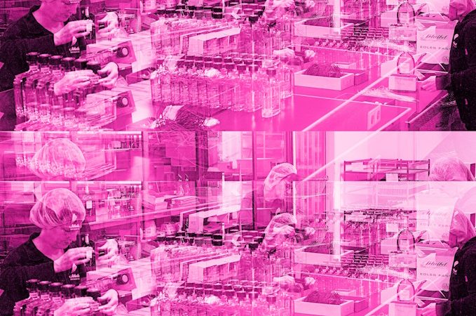 Manufakturen-Blog-PopArt-Projekt: Mitarbeiter V, saphirrosa (Foto: Wigmar Bressel) Emil Scheibel Schwarzwald-Brennerei Kappelrodeck Etikettieren