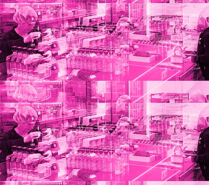 Manufakturen-Blog-PopArt-Projekt: Mitarbeiter V, saphirrosa (Foto: Wigmar Bressel) Emil Scheibel Schwarzwald-Brennerei Kappelrodeck Etikettieren