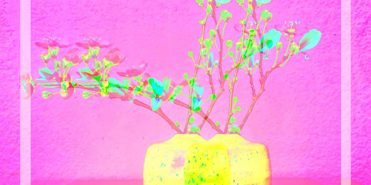 Manufakturen-Blog-PopArt-Projekt: Vasen V, gelb / pink (Foto: Wigmar Bressel) Independent-Keramik Franziska M. Köllner Leipzig