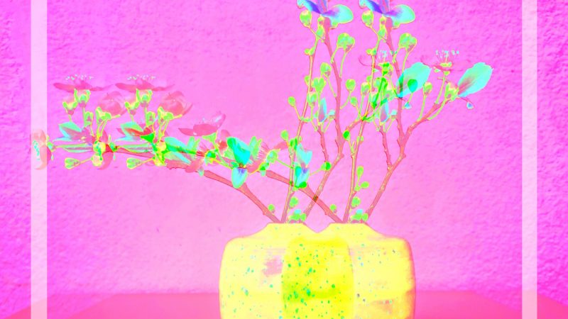 Manufakturen-Blog-PopArt-Projekt: Vasen V, gelb / pink (Foto: Wigmar Bressel) Independent-Keramik Franziska M. Köllner Leipzig