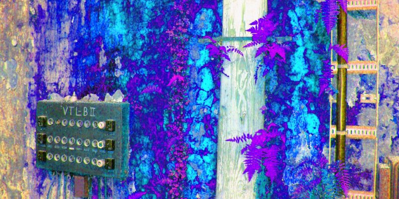 Manufakturen-Blog-PopArt-Projekt: E-Verteiler III, blau (Im Dschungel) (Foto: Wigmar Bressel) Koch & Bergfeld Silberwarenmanufaktur Bremen