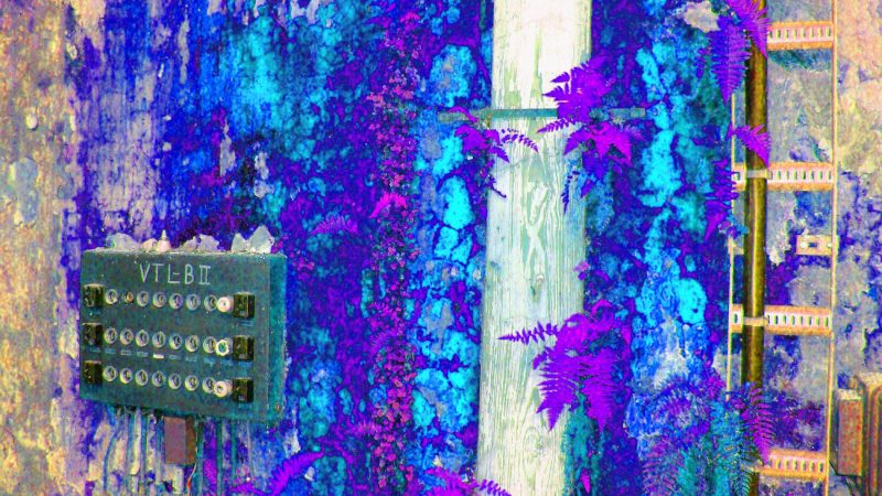 Manufakturen-Blog-PopArt-Projekt: E-Verteiler III, blau (Im Dschungel) (Foto: Wigmar Bressel) Koch & Bergfeld Silberwarenmanufaktur Bremen