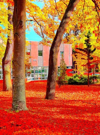 Manufakturen-Blog-PopArt-Projekt: Lauchhammer Kunstguss I, zinnoberrot (Foto: Wigmar Bressel) - basierend auf einem Foto von Produktionsgebäuden der Brandenburger Gießerei