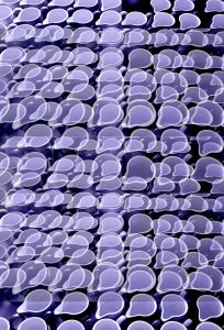 Manufakturen-Blog-PopArt-Projekt: Kännchen III, lila (Foto: Wigmar Bressel) - basierend auf einem Foto im Werksverkauf der Porzellanmanufaktur Dibbern in der Produktion in Hohenberg an der Eger