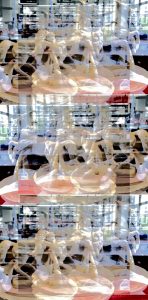 Manufakturen-Blog-PopArt-Projekt: Niedersachsen-Pferd neunfach, creme - oder "All die schönen Pferde" nach Cormac McCarthy (Foto: Wigmar Bressel)