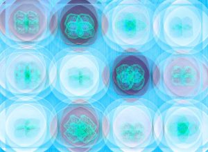 Manufakturen-Blog-PopArt-Projekt: Teller VII (Fahnen), quer hellblau (Foto: Wigmar Bressel) - basierend auf einem Foto von Kathrin Ritzi-Schaufelberger von Tellern des eidgenössischen Ritziporzellan aus Kradolf