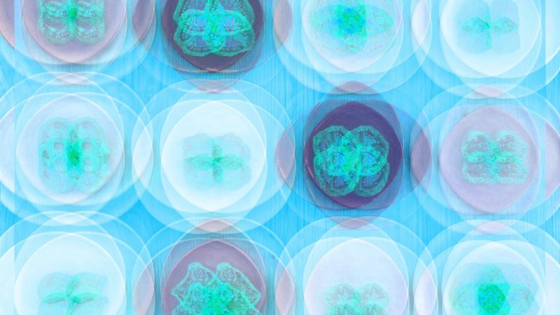 Manufakturen-Blog-PopArt-Projekt: Teller VII (Fahnen), quer hellblau (Foto: Wigmar Bressel) - basierend auf einem Foto von Kathrin Ritzi-Schaufelberger von Tellern des eidgenössischen Ritziporzellan aus Kradolf