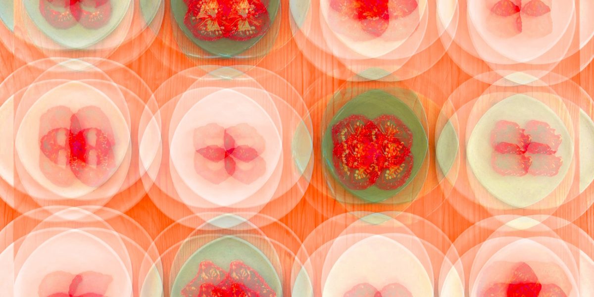 Manufakturen-Blog-PopArt-Projekt: Teller VII (Fahnen), quer lachsfarben (Foto: Wigmar Bressel) - basierend auf einem Foto von Kathrin Ritzi-Schaufelberger von Tellern des eidgenössischen Ritziporzellan aus Kradolf