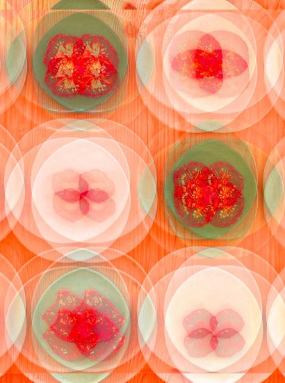 Manufakturen-Blog-PopArt-Projekt: Teller VII (Fahnen), quer lachsfarben (Foto: Wigmar Bressel) - basierend auf einem Foto von Kathrin Ritzi-Schaufelberger von Tellern des eidgenössischen Ritziporzellan aus Kradolf