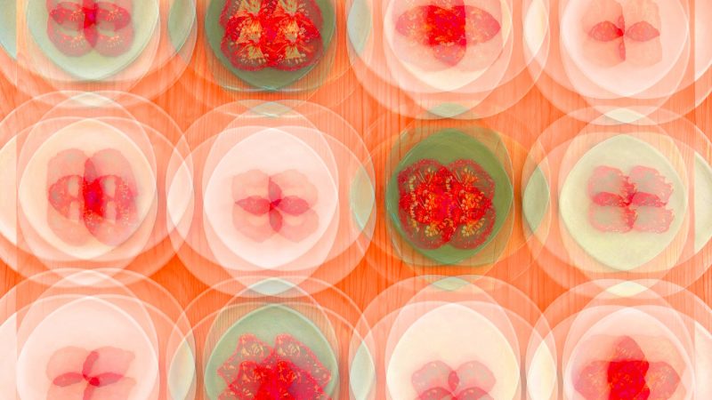 Manufakturen-Blog-PopArt-Projekt: Teller VII (Fahnen), quer lachsfarben (Foto: Wigmar Bressel) - basierend auf einem Foto von Kathrin Ritzi-Schaufelberger von Tellern des eidgenössischen Ritziporzellan aus Kradolf