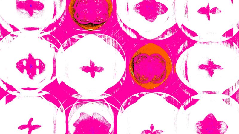 Manufakturen-Blog-PopArt-Projekt: Teller VIII (Fahnen), quer 'Himbeertraum' (Foto: Wigmar Bressel) - basierend auf einem Foto von Kathrin Ritzi-Schaufelberger von Tellern des eidgenössischen Ritziporzellan aus Kradolf