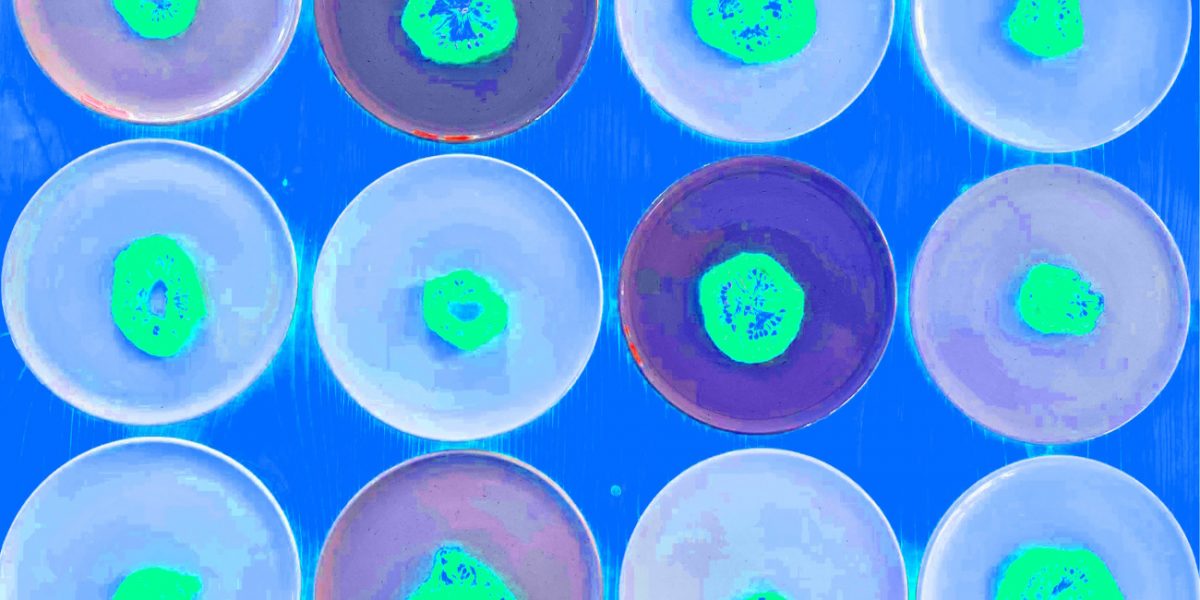 Manufakturen-Blog-PopArt-Projekt: Teller VI (Fahnen), quer blau (Foto: Wigmar Bressel) - basierend auf einem Foto von Kathrin Ritzi-Schaufelberger von Tellern des eidgenössischen Ritziporzellan aus Kradolf