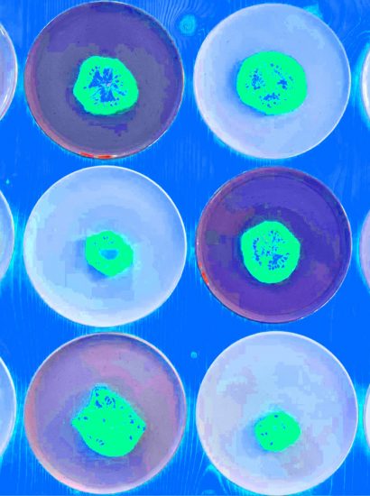 Manufakturen-Blog-PopArt-Projekt: Teller VI (Fahnen), quer blau (Foto: Wigmar Bressel) - basierend auf einem Foto von Kathrin Ritzi-Schaufelberger von Tellern des eidgenössischen Ritziporzellan aus Kradolf