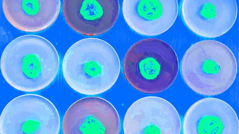 Manufakturen-Blog-PopArt-Projekt: Teller VI (Fahnen), quer blau (Foto: Wigmar Bressel) - basierend auf einem Foto von Kathrin Ritzi-Schaufelberger von Tellern des eidgenössischen Ritziporzellan aus Kradolf