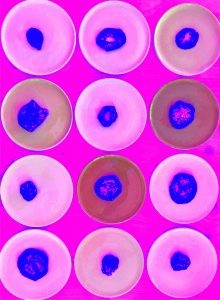 Manufakturen-Blog-PopArt-Projekt: Teller VI (Fahnen), hoch pink (Foto: Wigmar Bressel) - basierend auf einem Foto von Kathrin Ritzi-Schaufelberger von Tellern des eidgenössischen Ritziporzellan aus Kradolf