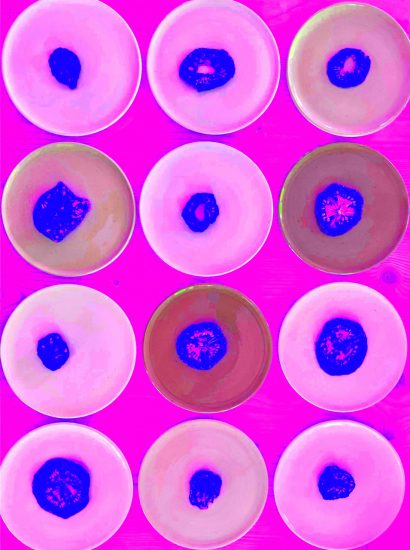 Manufakturen-Blog-PopArt-Projekt: Teller VI (Fahnen), hoch pink (Foto: Wigmar Bressel) - basierend auf einem Foto von Kathrin Ritzi-Schaufelberger von Tellern des eidgenössischen Ritziporzellan aus Kradolf