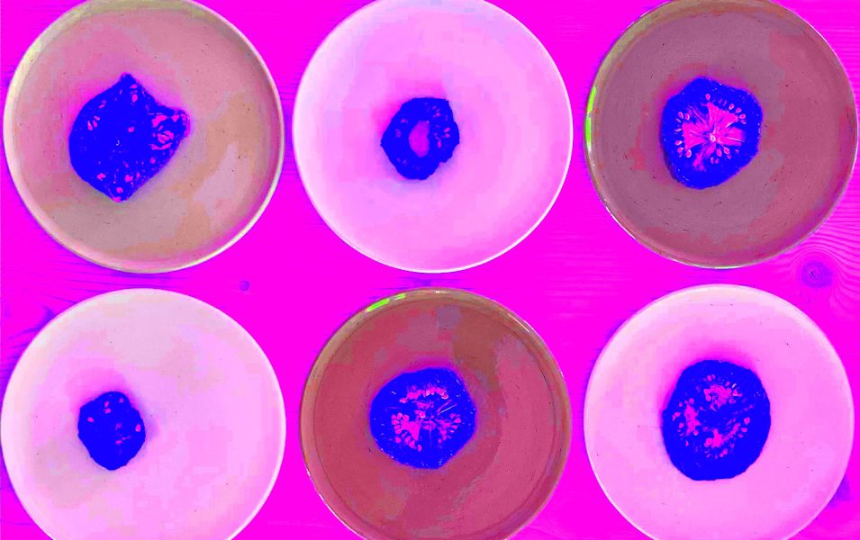 Manufakturen-Blog-PopArt-Projekt: Teller VI (Fahnen), hoch pink (Foto: Wigmar Bressel) - basierend auf einem Foto von Kathrin Ritzi-Schaufelberger von Tellern des eidgenössischen Ritziporzellan aus Kradolf