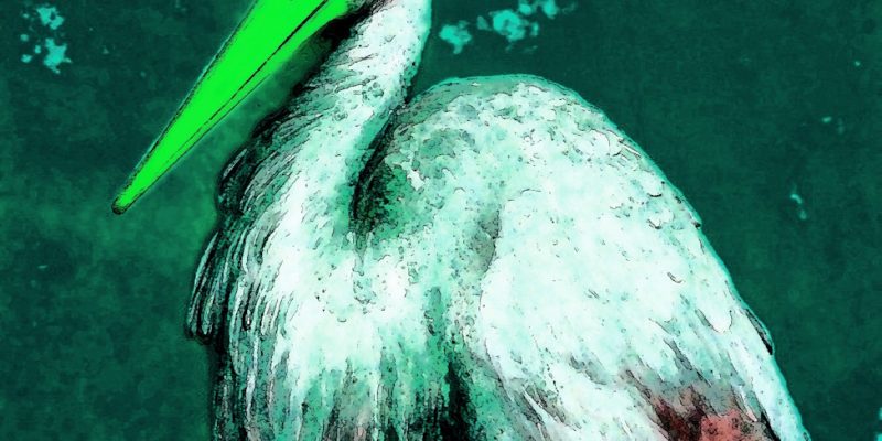 Manufakturen-Blog-PopArt-Projekt: Der Storch, grün (Foto: Wigmar Bressel)