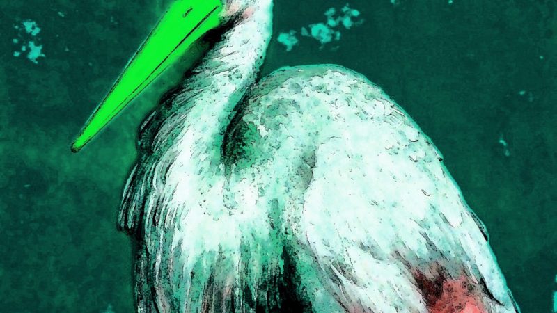 Manufakturen-Blog-PopArt-Projekt: Der Storch, grün (Foto: Wigmar Bressel)