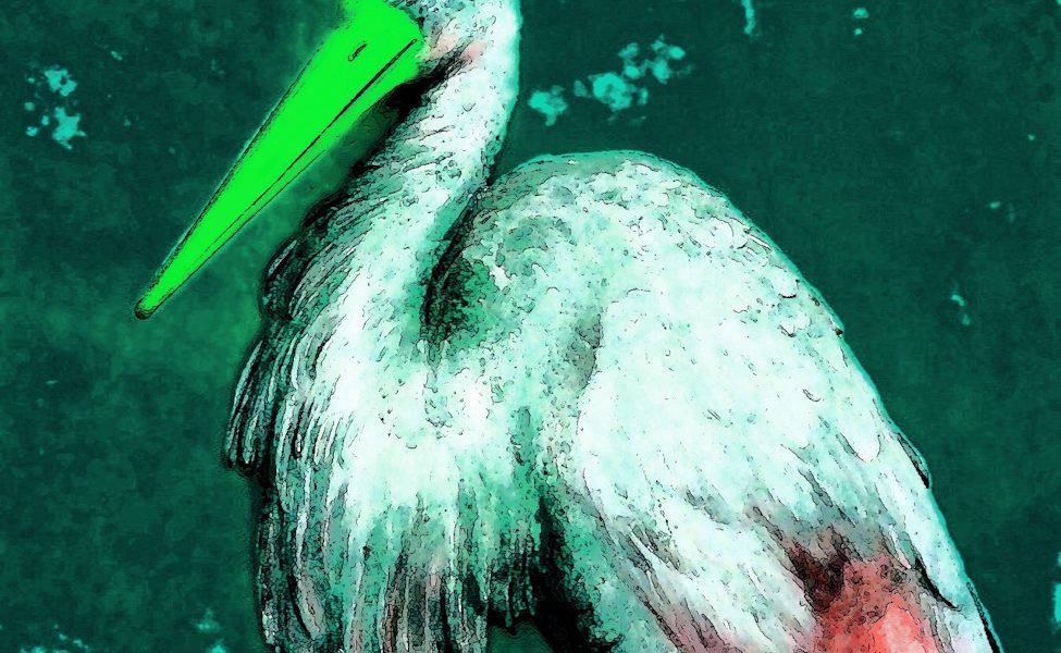 Manufakturen-Blog-PopArt-Projekt: Der Storch, grün (Foto: Wigmar Bressel)