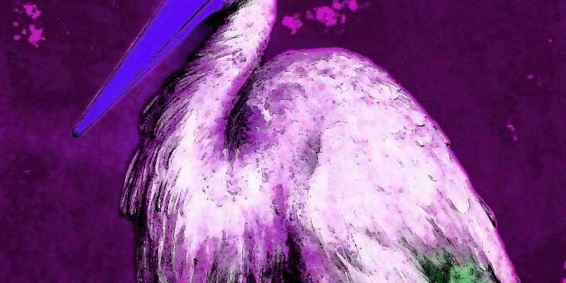 Manufakturen-Blog-PopArt-Projekt: Der Storch, violett (Foto: Wigmar Bressel)