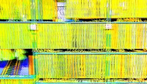 Manufakturen-Blog-PopArt-Projekt: Archiv I, gelb (Foto: Wigmar Bressel) - basierend auf einem Foto von Lochkarten im Kartenlager für die Damast-Webstühle in der Leinenweberei Seegers & Sohn im niedersächsischen Steinhude