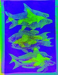 Manufakturen-Blog-PopArt-Projekt: Fische, neongrün (Foto: Wigmar Bressel) - basierend auf einem Foto eines Geschirrtuchs aus der Hamburger Textildruckerei Frohstoff