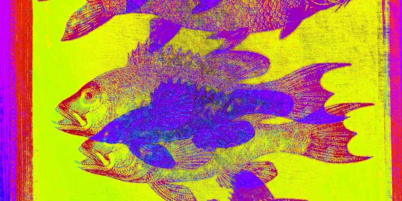 Manufakturen-Blog-PopArt-Projekt: Fische, gelb (Foto: Wigmar Bressel) - basierend auf einem Foto eines Geschirrtuchs aus der Siebdruckerei Frohstoff in Hamburg