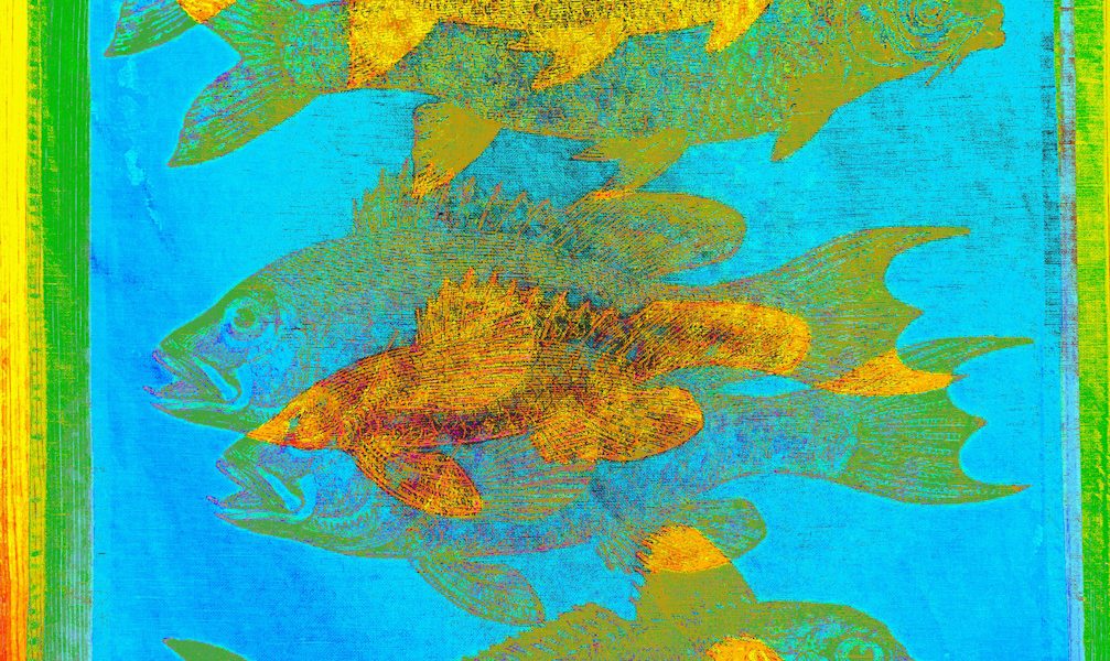 Manufakturen-Blog-PopArt-Projekt: Fische, hellblau (Foto: Wigmar Bressel) - basierend auf einem Foto eines Geschirrtuchs aus der Siebdruckerei Frohstoff in Hamburg