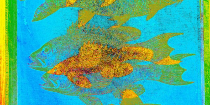 Manufakturen-Blog-PopArt-Projekt: Fische, hellblau (Foto: Wigmar Bressel) - basierend auf einem Foto eines Geschirrtuchs aus der Siebdruckerei Frohstoff in Hamburg