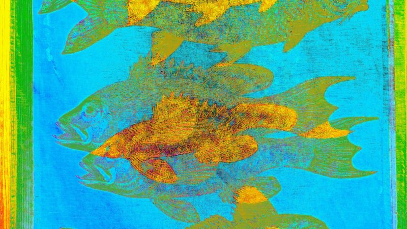 Manufakturen-Blog-PopArt-Projekt: Fische, hellblau (Foto: Wigmar Bressel) - basierend auf einem Foto eines Geschirrtuchs aus der Siebdruckerei Frohstoff in Hamburg