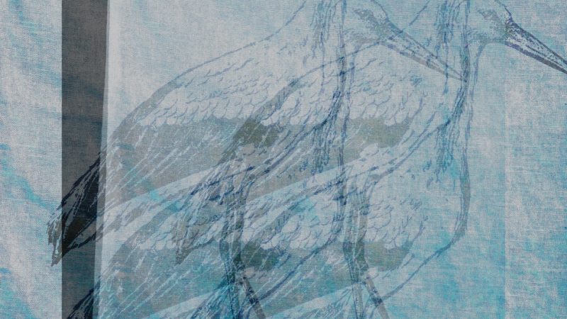 Manufakturen-Blog-PopArt-Projekt: Vier Störche, eisblau (Foto: Wigmar Bressel) - basierend auf einem Foto eines Geschirrtuchs aus der Siebdruckerei Frohstoff in Hamburg