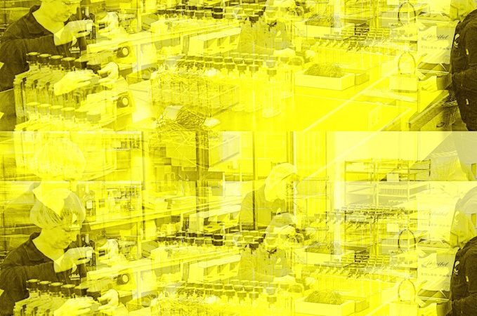 Manufakturen-Blog-PopArt-Projekt: Mitarbeiter V, saphirgelb (Foto: Wigmar Bressel) - basierend auf einem Foto von Martin Specht in der Emil Scheibel Schwarzwald-Brennerei in Kappelrodeck; Mitarbeiter beim Konfektionieren